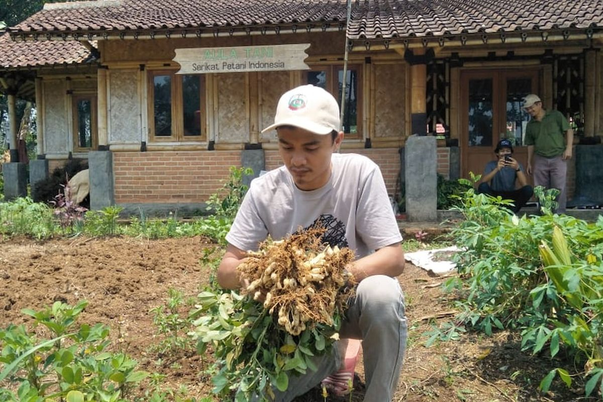 Pembuhan Iklim