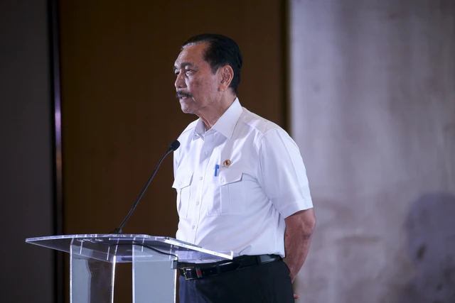 Luhut